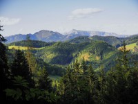 /album/fotogalerie1/brundelweg-15-08-2010-001-jpg/